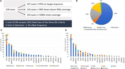 Targeted panel sequencing in the routine diagnosis of mature T- and NK-cell lymphomas: report of 128 cases from two German reference centers